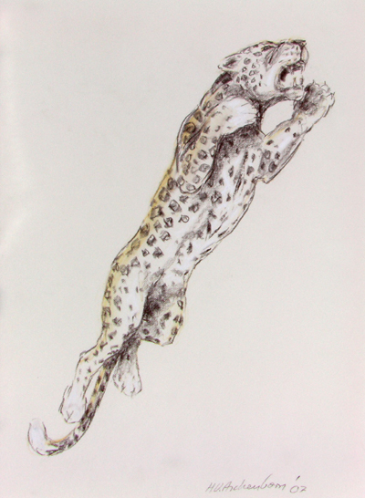 Bild Springender Leopard von Uli Aschenborn